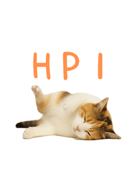 すやすや三毛猫｜HP1です。#4