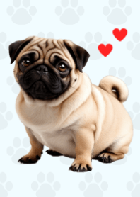 Fawn Pug Theme. Blue 03