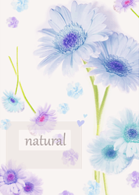 ふんわりと香るガーベラの優しい香り15