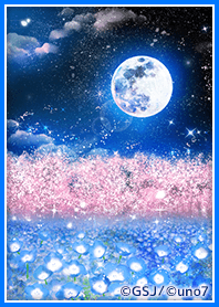 SAKURA and Nemophila