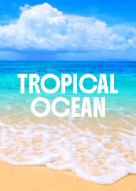 TROPICAL OCEAN THEME 19
