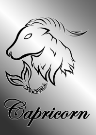 十二星座 - 山羊座 -