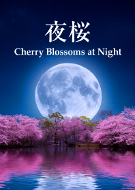"Cherry Blossoms at Night vol.6" theme