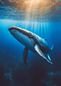 Fantasy tale of the sea21