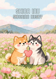 Lovely Shiba Inu & Siberian husky (JP)
