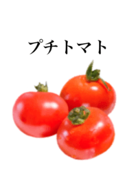 プチ トマト です　野菜　とまと