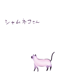 一隻貓.