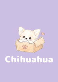 Sketch Chihuahua Purple 04