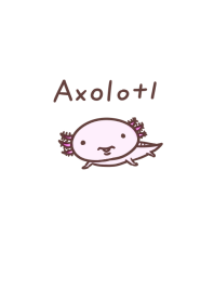 axolotl.
