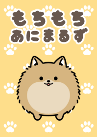 MOCHI MOCHI ANIMALS[Pomeranian]