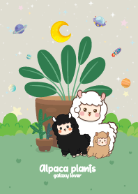 Alpaca Plants  Lover Friendly