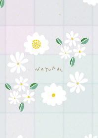 Small white flower cute15 from Japan