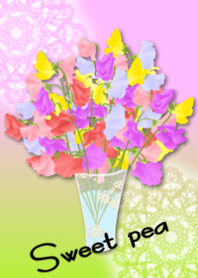Sweet pea(flower)
