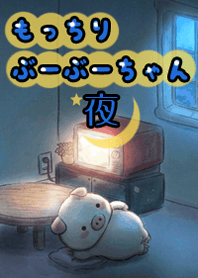 もっちり ぶーぶーちゃん 夜