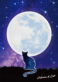 Full moon and Cat