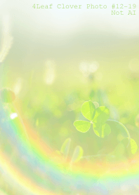 4leaf Clover Photo#12-19Not AI