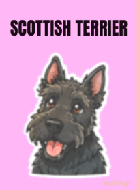 Cute Scottish Terrier