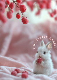 Tinny little rabbit-pu3