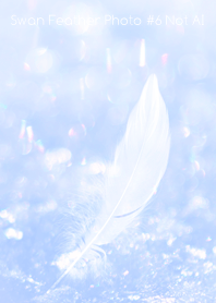 Swan Feather Photo #6-18Not AI