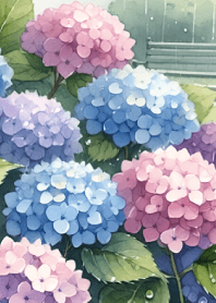 Rain, a park, and hydrangeas.