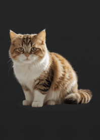 Cute Munchkin Theme B/W 02