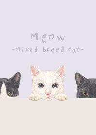 Meow-Mixed breed cat 02-PASTEL PURPLE