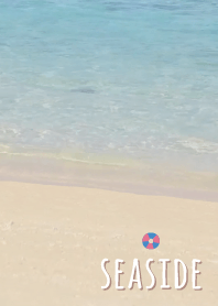 海濱 漂浮'棕色的'