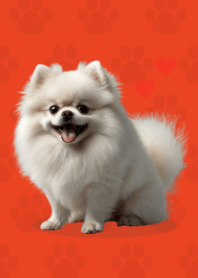 ธีมปอมเมอเรเนียนน่ารัก Red 02