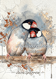 Aquarelle Drops - JavaSparrow -