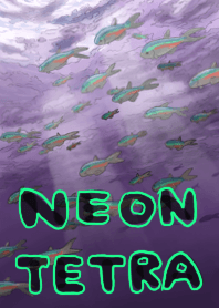 neon tetra tropical fish