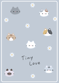 blue Simple Fluffy Cat 05_2