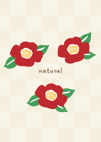 Camellia blooms18 from Japan