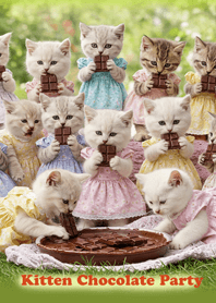 仔猫のチョコパーティ