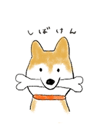 しばけん