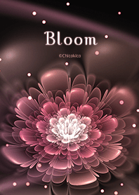 Bloom 01 .