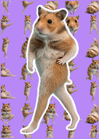 Beautiful legged hamster Pop Purple