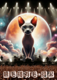 Meow's concert6_db-Hairless Cat has Fur