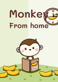 Monkey for home