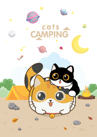 Cats Camping Day