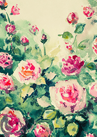 Beautiful rose flower(R4202)