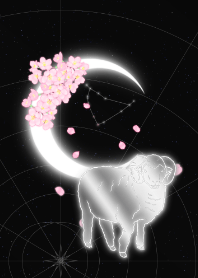 Moon Zodiac-Sheep- Capricorn JPN
