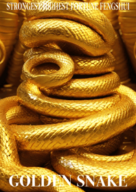 Golden Snake Lucky 11