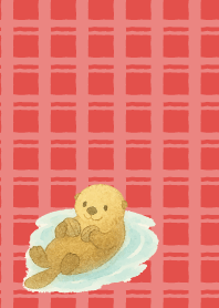 Cute sea otter on red
