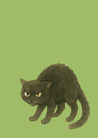 Angry Black Cat on moss green