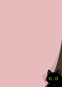 corner black cat_Pink2
