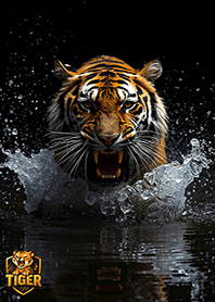 Tiger : The Staring Eye