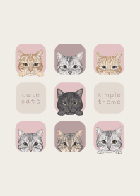 CATS - American Shorthair - PINK GRAY
