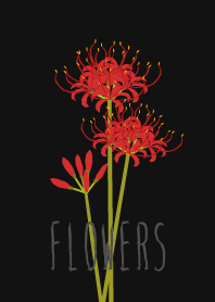 Flowers*H*09