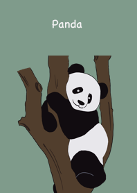 Panda cute cute