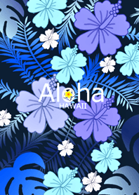 Hawaii*ALOHA+185-1